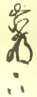 Fig. 8 Classic Chinese Calligraphy 'Shufa'